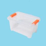 Phoenix clear Storage Box