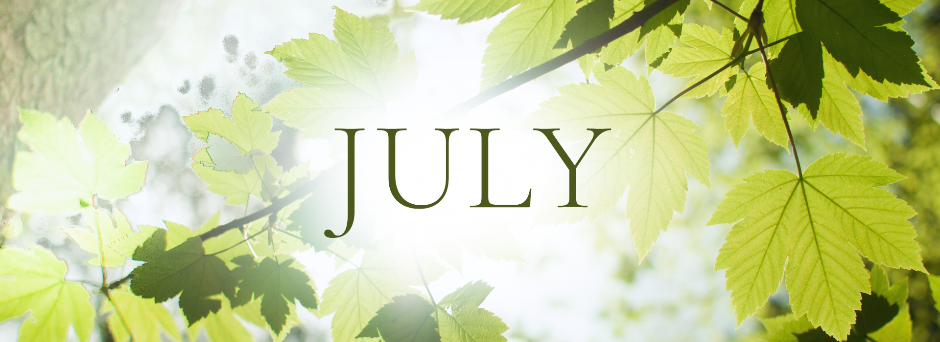 July 2025